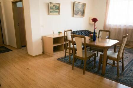 Town Hall 3 Bedroom Apartment فيلنيوس المظهر الخارجي الصورة
